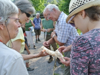 Exkursion Biber 2012 10