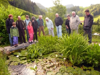 Glögglifrosch 2011 1