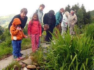 Glögglifrosch 2011 2