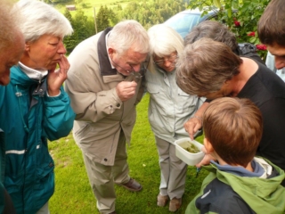 Glögglifrosch 2011 4